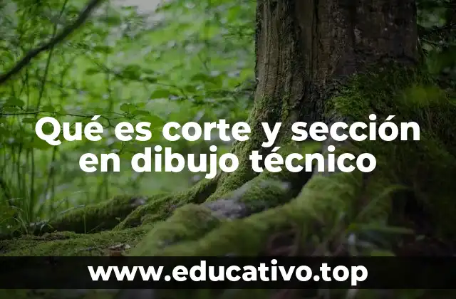 Qué es corte y sección en dibujo técnico