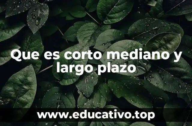 Que es corto mediano y largo plazo