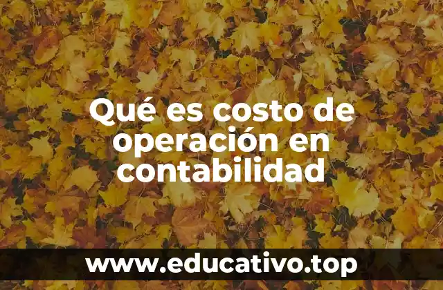 El rol del costo de operación en la toma de decisiones empresariales