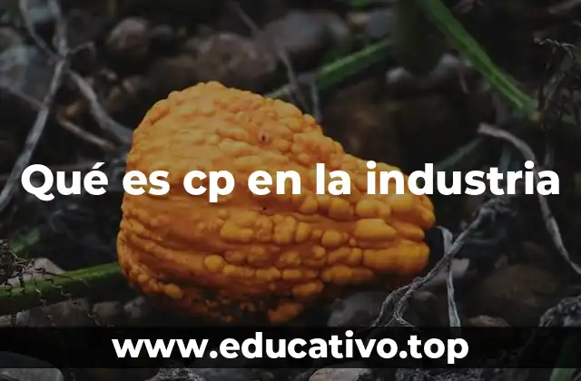 Qué es cp en la industria