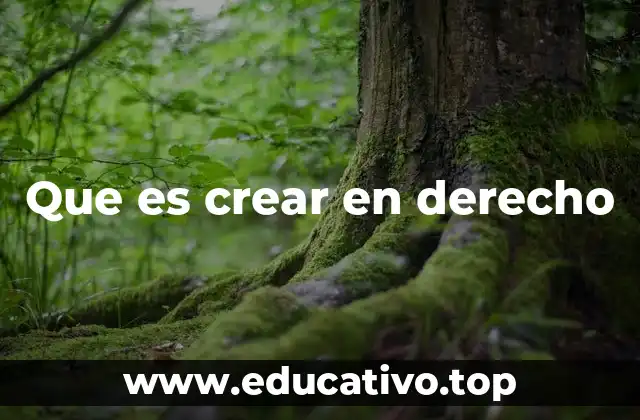 Que es crear en derecho