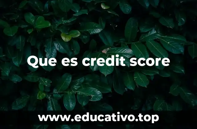 Que es credit score