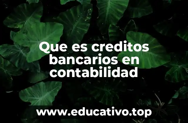 Que es creditos bancarios en contabilidad