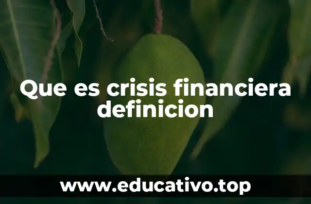 Que es crisis financiera definicion