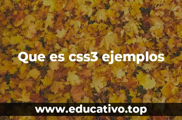 El papel de CSS3 en el desarrollo web moderno