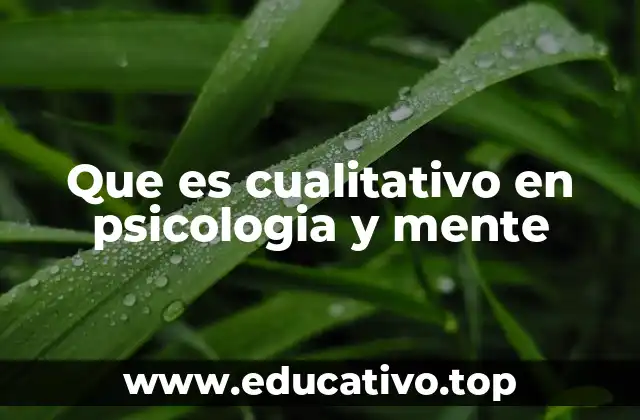 Que es cualitativo en psicologia y mente