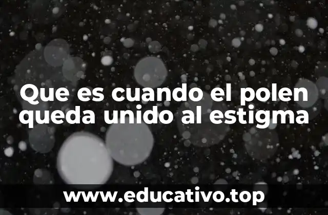 Que es cuando el polen queda unido al estigma