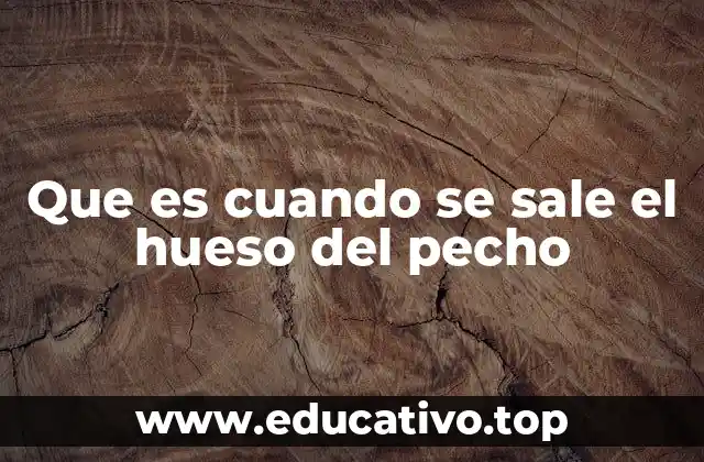 Entendiendo el funcionamiento del hueso del pecho