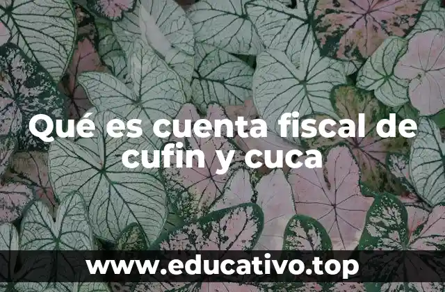 Qué es cuenta fiscal de cufin y cuca