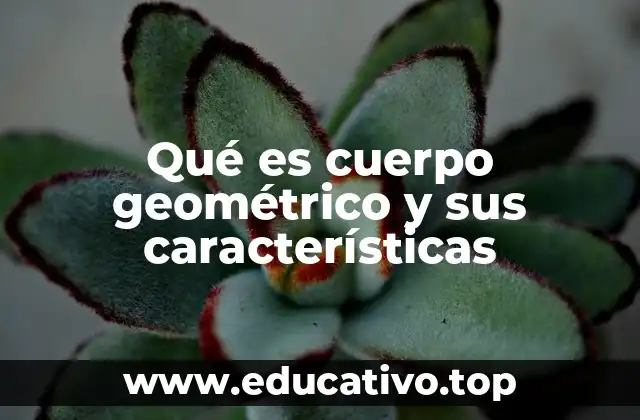 Qué es cuerpo geométrico y sus características