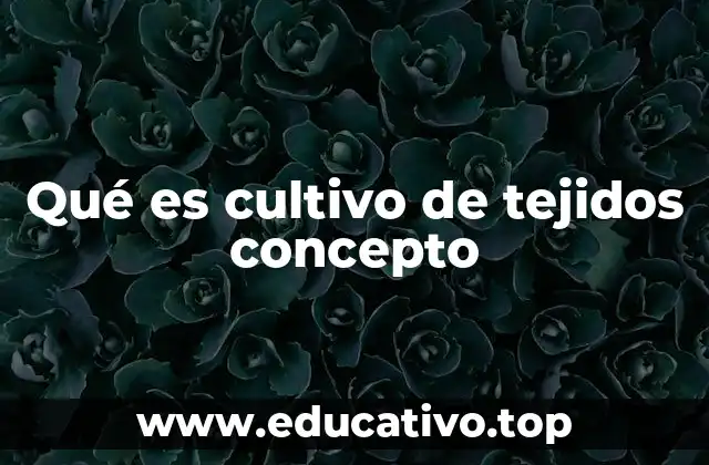 Qué es cultivo de tejidos concepto