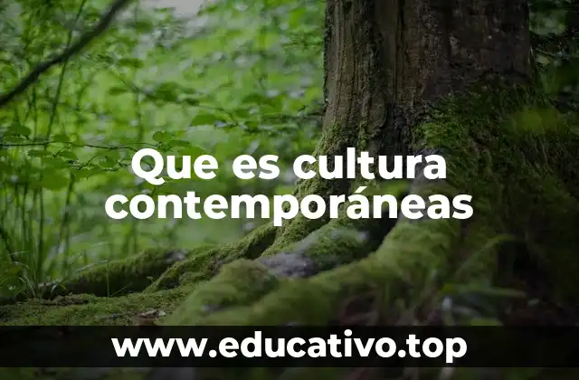 Que es cultura contemporáneas