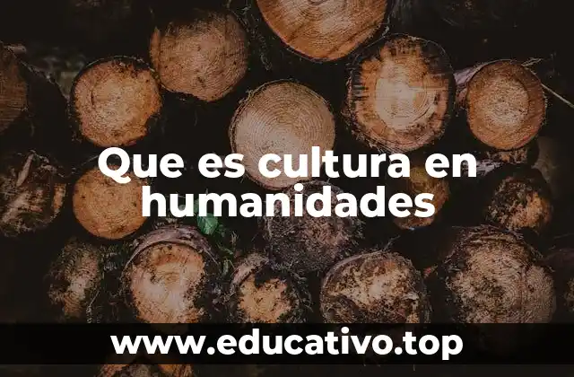 La cultura como expresión de identidad colectiva