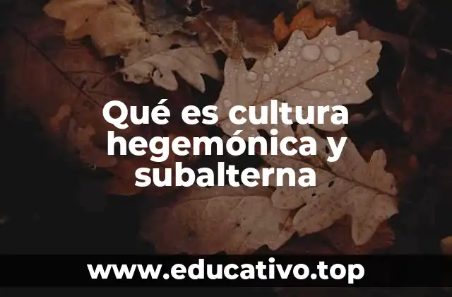 Qué es cultura hegemónica y subalterna