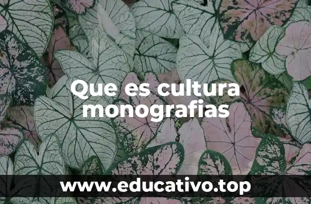 Que es cultura monografias