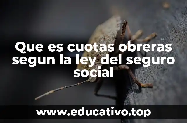 Que es cuotas obreras segun la ley del seguro social