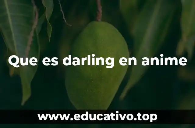 Que es darling en anime
