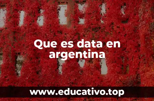 Que es data en argentina