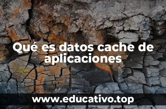 Qué es datos cache de aplicaciones