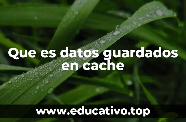 Cómo funciona el almacenamiento en caché