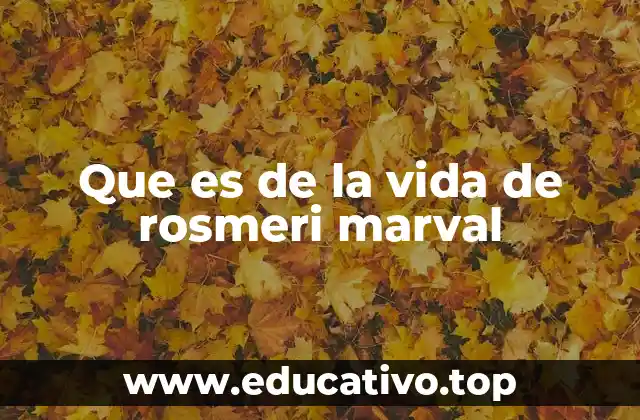 Que es de la vida de rosmeri marval