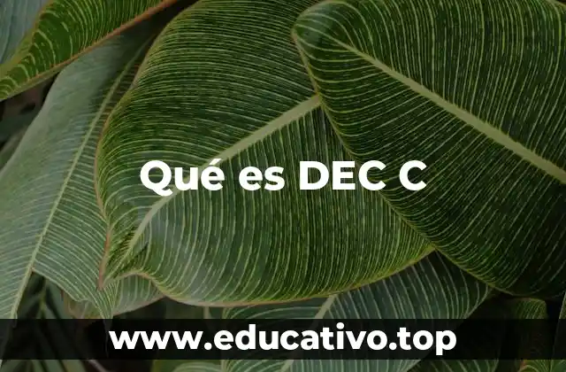 Qué es DEC C