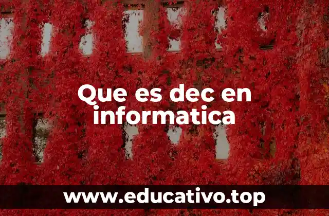 Que es dec en informatica
