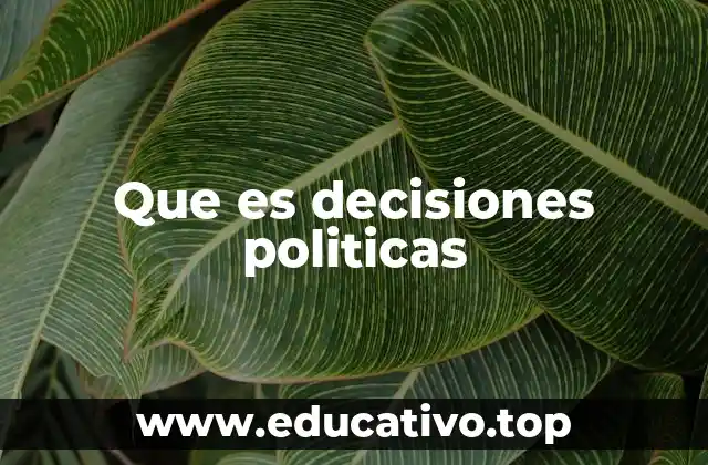 Que es decisiones politicas
