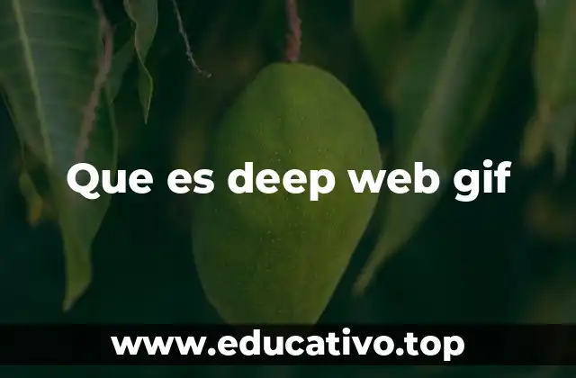 Que es deep web gif