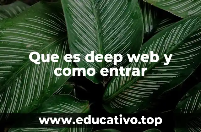 Que es deep web y como entrar