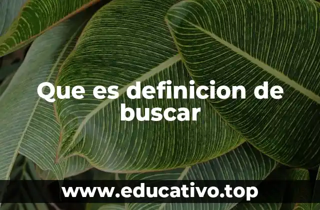 Que es definicion de buscar