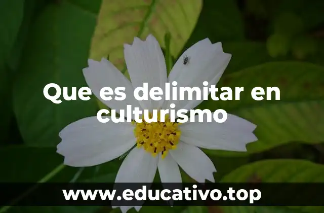 Que es delimitar en culturismo