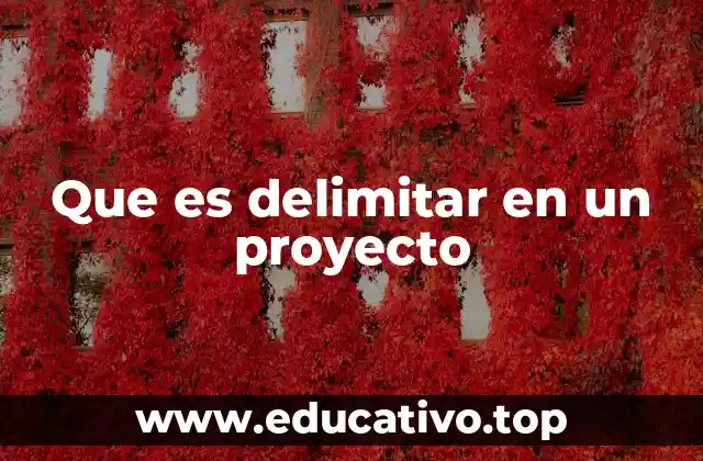 Que es delimitar en un proyecto