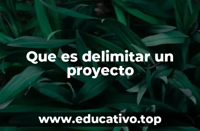 Que es delimitar un proyecto