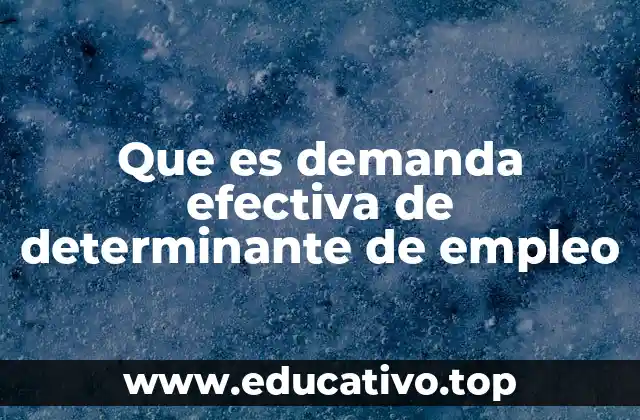 Que es demanda efectiva de determinante de empleo