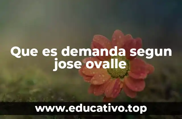 Que es demanda segun jose ovalle