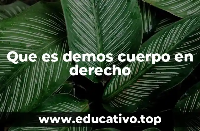 La importancia de dar forma a las normas jurídicas