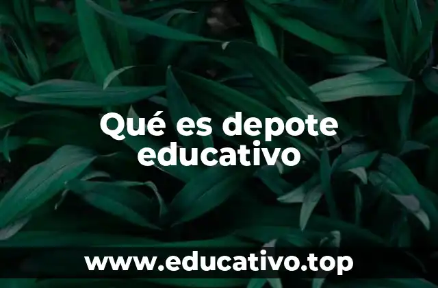Qué es depote educativo