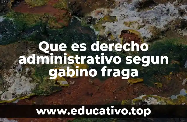 El rol del Estado en la teoría de Fraga