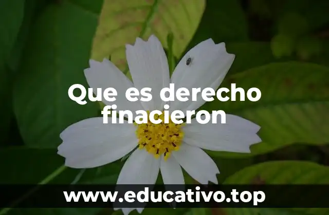 Que es derecho finacieron