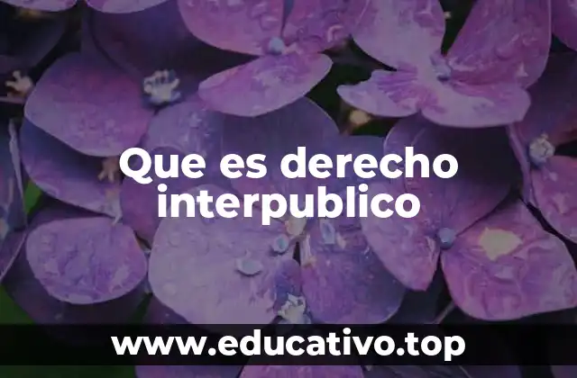 Que es derecho interpublico