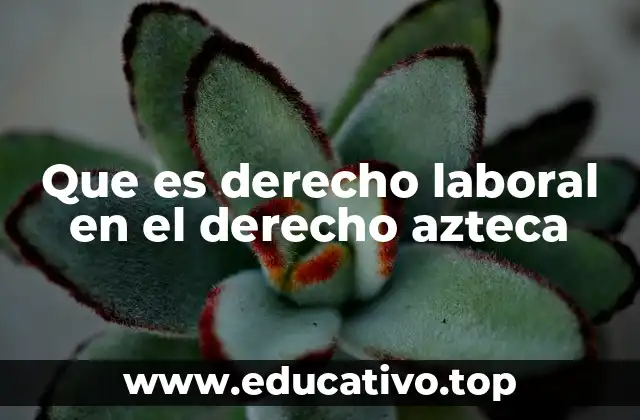 Que es derecho laboral en el derecho azteca