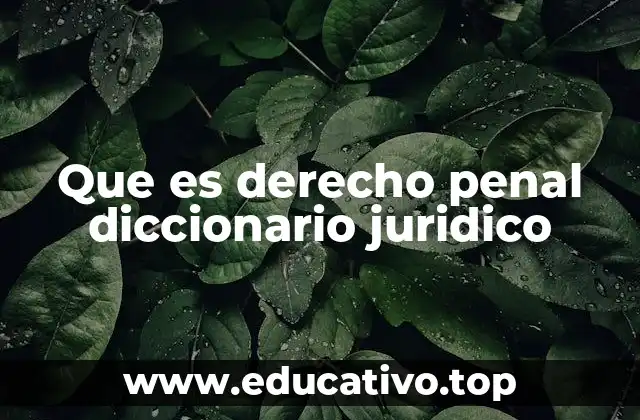La importancia del derecho penal en el sistema legal