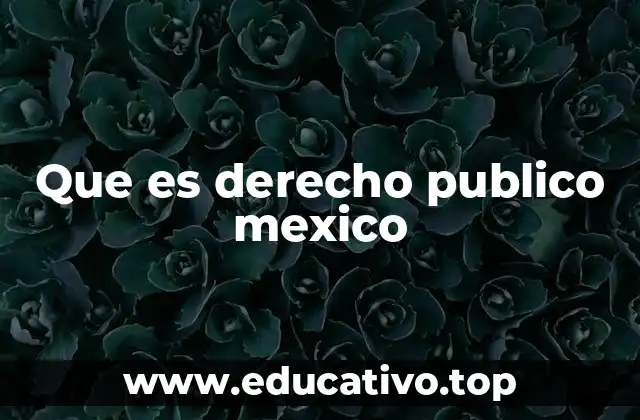 Que es derecho publico mexico
