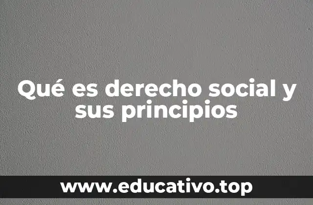 Qué es derecho social y sus principios