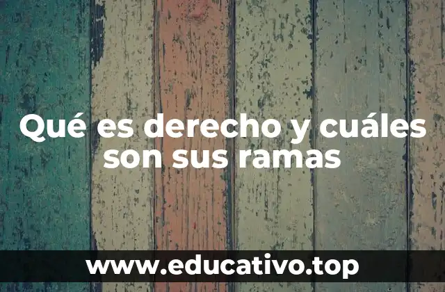 Qué es derecho y cuáles son sus ramas