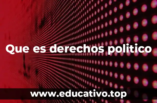 Que es derechos politico