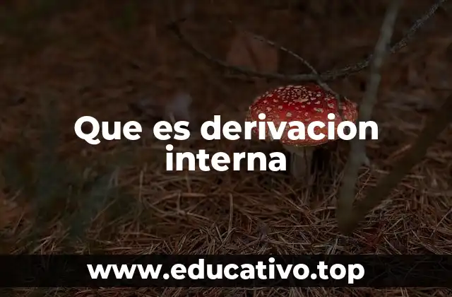Que es derivacion interna