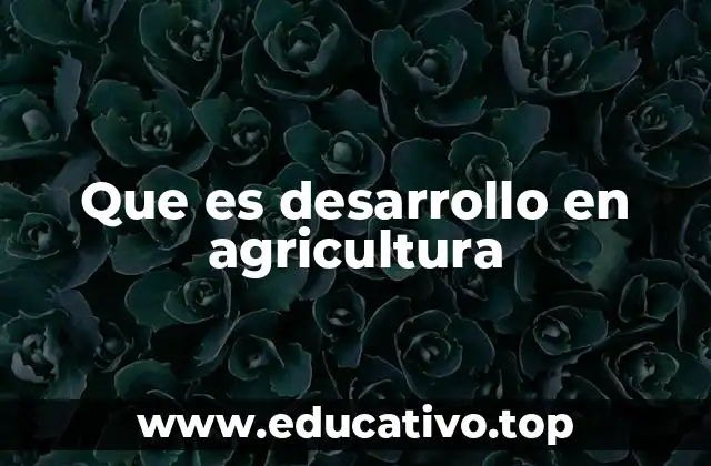 La importancia del progreso en el sector rural