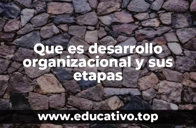 Que es desarrollo organizacional y sus etapas